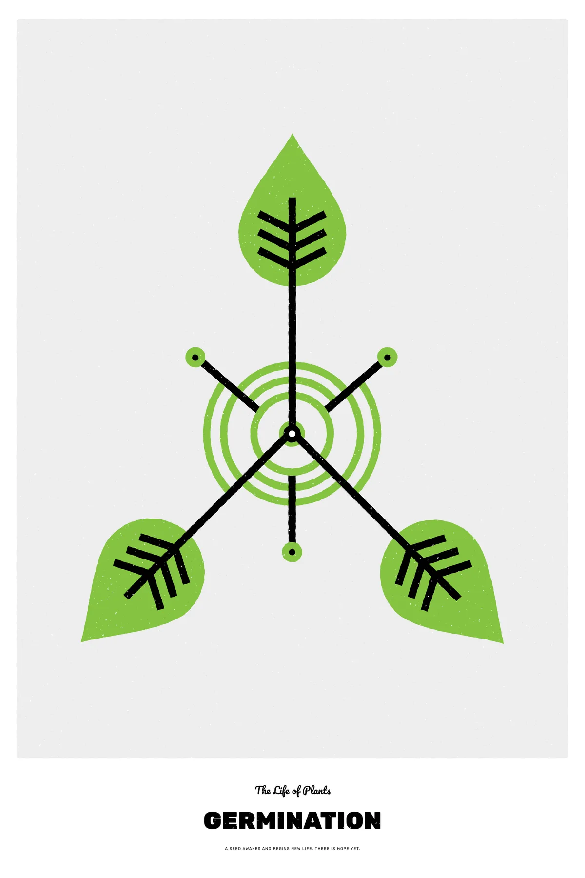 Three black stems with green leaves radiating from a green bullseye at the center, on a light grey field, with the title Germination below